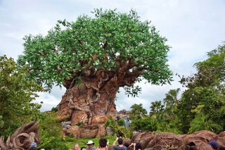 Filename=DSC_6748.jpg
Filesize=13587KiB
Dimensions=7360x4912
Date added=Sep 27, 2019 DSC_6748.jpg