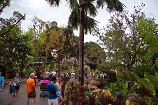 Filename=DSC_6751.jpg
Filesize=13440KiB
Dimensions=7360x4912
Date added=Sep 27, 2019 DSC_6751.jpg