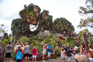 Filename=DSC_6754.jpg
Filesize=10880KiB
Dimensions=7360x4912
Date added=Sep 27, 2019 DSC_6754.jpg