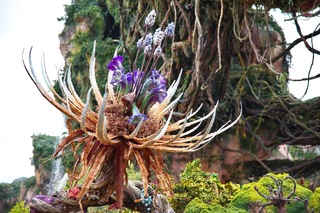 Filename=DSC_6757.jpg
Filesize=7581KiB
Dimensions=7360x4912
Date added=Sep 27, 2019 DSC_6757.jpg