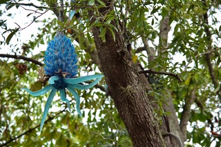 Filename=DSC_6758.jpg
Filesize=6876KiB
Dimensions=7360x4912
Date added=Sep 27, 2019 DSC_6758.jpg