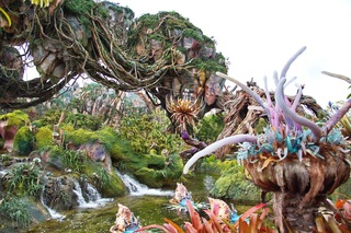 Filename=DSC_6761.jpg
Filesize=13495KiB
Dimensions=7360x4912
Date added=Sep 27, 2019 DSC_6761.jpg