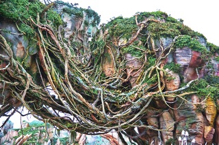 Filename=DSC_6764.jpg
Filesize=17066KiB
Dimensions=7360x4912
Date added=Sep 27, 2019 DSC_6764.jpg