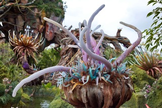 Filename=DSC_6766.jpg
Filesize=6464KiB
Dimensions=7360x4912
Date added=Sep 27, 2019 DSC_6766.jpg