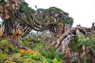 Filename=DSC_6767.jpg
Filesize=14697KiB
Dimensions=7360x4912
Date added=Sep 27, 2019 DSC_6767.jpg