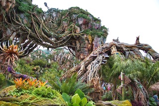 Filename=DSC_6768.jpg
Filesize=13607KiB
Dimensions=7360x4912
Date added=Sep 27, 2019 DSC_6768.jpg