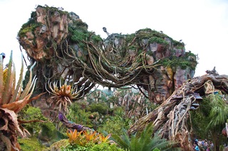 Filename=DSC_6769.jpg
Filesize=12320KiB
Dimensions=7360x4912
Date added=Sep 27, 2019 DSC_6769.jpg