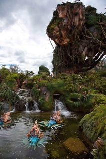 Filename=DSC_6773.jpg
Filesize=9893KiB
Dimensions=4912x7360
Date added=Sep 27, 2019 DSC_6773.jpg