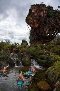 Filename=DSC_6774.jpg
Filesize=9057KiB
Dimensions=4912x7360
Date added=Sep 27, 2019 DSC_6774.jpg