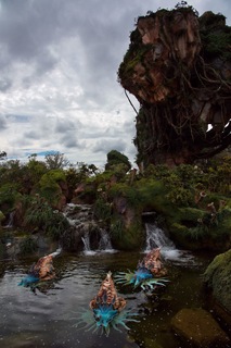 Filename=DSC_6775.jpg
Filesize=8015KiB
Dimensions=4912x7360
Date added=Sep 27, 2019 DSC_6775.jpg