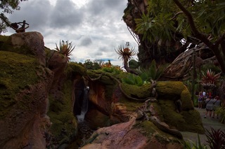 Filename=DSC_6777.jpg
Filesize=8614KiB
Dimensions=7360x4912
Date added=Sep 27, 2019 DSC_6777.jpg