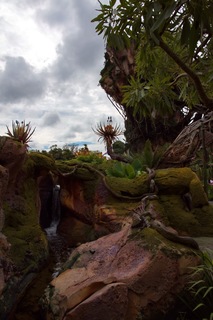 Filename=DSC_6778.jpg
Filesize=7448KiB
Dimensions=4912x7360
Date added=Sep 27, 2019 DSC_6778.jpg