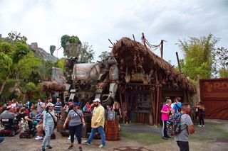 Filename=DSC_6783.jpg
Filesize=9334KiB
Dimensions=7360x4912
Date added=Sep 27, 2019 DSC_6783.jpg