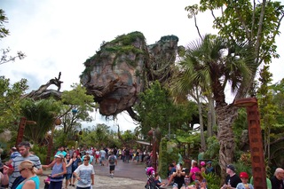 Filename=DSC_6787.jpg
Filesize=11233KiB
Dimensions=7360x4912
Date added=Sep 27, 2019 DSC_6787.jpg