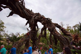 Filename=DSC_6791.jpg
Filesize=8165KiB
Dimensions=7360x4912
Date added=Sep 27, 2019 DSC_6791.jpg