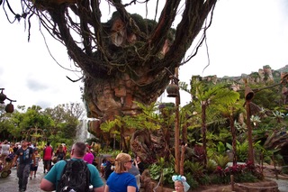 Filename=DSC_6793.jpg
Filesize=9815KiB
Dimensions=7360x4912
Date added=Sep 27, 2019 DSC_6793.jpg