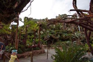 Filename=DSC_6794.jpg
Filesize=9877KiB
Dimensions=7360x4912
Date added=Sep 27, 2019 DSC_6794.jpg