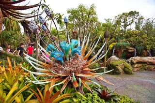 Filename=DSC_6795.jpg
Filesize=11329KiB
Dimensions=7360x4912
Date added=Sep 27, 2019 DSC_6795.jpg