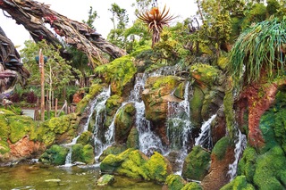 Filename=DSC_6801.jpg
Filesize=16636KiB
Dimensions=7360x4912
Date added=Sep 27, 2019 DSC_6801.jpg