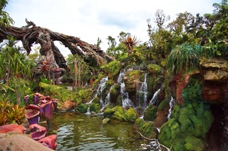 Filename=DSC_6803.jpg
Filesize=13851KiB
Dimensions=7360x4912
Date added=Sep 27, 2019 DSC_6803.jpg