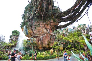 Filename=DSC_6804.jpg
Filesize=14269KiB
Dimensions=7360x4912
Date added=Sep 27, 2019 DSC_6804.jpg