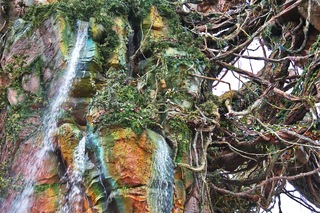 Filename=DSC_6816.jpg
Filesize=18180KiB
Dimensions=7360x4912
Date added=Sep 27, 2019 DSC_6816.jpg