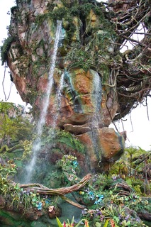 Filename=DSC_6817.jpg
Filesize=14726KiB
Dimensions=4912x7360
Date added=Sep 27, 2019 DSC_6817.jpg