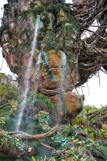 Filename=DSC_6819.jpg
Filesize=14996KiB
Dimensions=4912x7360
Date added=Sep 27, 2019 DSC_6819.jpg