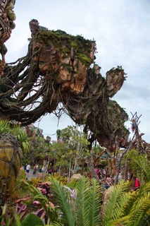 Filename=DSC_6827.jpg
Filesize=10446KiB
Dimensions=4912x7360
Date added=Sep 27, 2019 DSC_6827.jpg