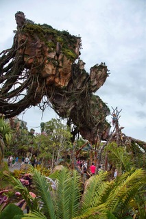 Filename=DSC_6828.jpg
Filesize=9767KiB
Dimensions=4912x7360
Date added=Sep 27, 2019 DSC_6828.jpg