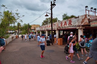 Filename=DSC_6839.jpg
Filesize=8025KiB
Dimensions=7360x4912
Date added=Sep 27, 2019 DSC_6839.jpg