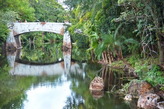 Filename=DSC_6852.jpg
Filesize=12583KiB
Dimensions=7360x4912
Date added=Sep 27, 2019 DSC_6852.jpg