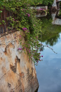 Filename=DSC_6853.jpg
Filesize=12073KiB
Dimensions=4912x7360
Date added=Sep 27, 2019 DSC_6853.jpg