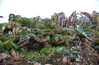 Filename=DSC_6885.jpg
Filesize=11265KiB
Dimensions=7360x4912
Date added=Sep 27, 2019 DSC_6885.jpg