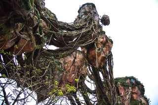 Filename=DSC_6888.jpg
Filesize=10426KiB
Dimensions=7360x4912
Date added=Sep 27, 2019 DSC_6888.jpg