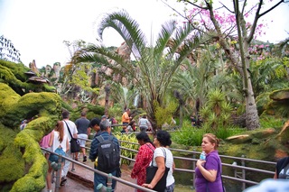 Filename=DSC_6889.jpg
Filesize=10479KiB
Dimensions=7360x4912
Date added=Sep 27, 2019 DSC_6889.jpg