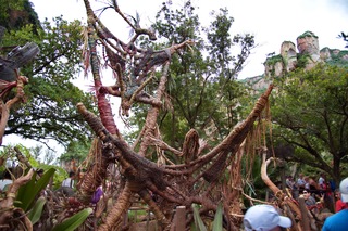 Filename=DSC_6903.jpg
Filesize=11350KiB
Dimensions=7360x4912
Date added=Sep 27, 2019 DSC_6903.jpg