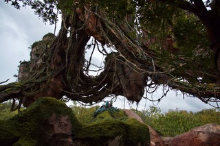 Filename=DSC_6904.jpg
Filesize=7569KiB
Dimensions=7360x4912
Date added=Sep 27, 2019 DSC_6904.jpg