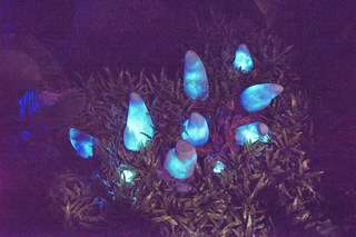 Filename=DSC_6916.jpg
Filesize=31460KiB
Dimensions=7360x4912
Date added=Sep 27, 2019 DSC_6916.jpg