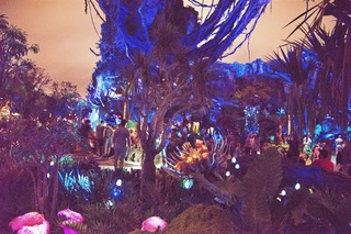 Filename=DSC_6921.jpg
Filesize=31798KiB
Dimensions=7360x4912
Date added=Sep 27, 2019 DSC_6921.jpg