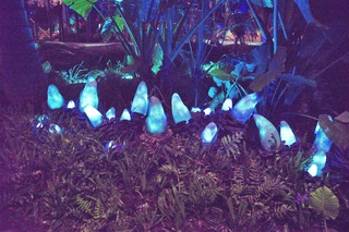 Filename=DSC_6926.jpg
Filesize=31986KiB
Dimensions=7360x4912
Date added=Sep 27, 2019 DSC_6926.jpg