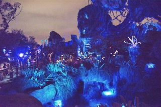 Filename=DSC_6927.jpg
Filesize=31863KiB
Dimensions=7360x4912
Date added=Sep 27, 2019 DSC_6927.jpg