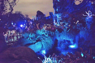 Filename=DSC_6929.jpg
Filesize=31921KiB
Dimensions=7360x4912
Date added=Sep 27, 2019 DSC_6929.jpg