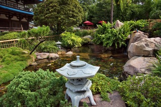 Filename=DSC_6950.jpg
Filesize=15146KiB
Dimensions=7360x4912
Date added=Sep 27, 2019 DSC_6950.jpg