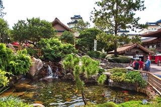 Filename=DSC_6962.jpg
Filesize=15609KiB
Dimensions=7360x4912
Date added=Sep 27, 2019 DSC_6962.jpg