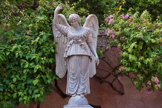 Filename=DSC_7227.jpg
Filesize=8379KiB
Dimensions=7360x4912
Date added=Sep 27, 2019 DSC_7227.jpg