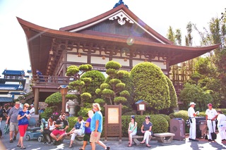 Filename=DSC_7254.jpg
Filesize=11533KiB
Dimensions=7360x4912
Date added=Sep 27, 2019 DSC_7254.jpg