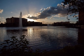 Filename=DSC_7305.jpg
Filesize=5299KiB
Dimensions=7360x4912
Date added=Sep 27, 2019 DSC_7305.jpg