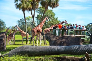 Filename=DSC_7348.jpg
Filesize=10433KiB
Dimensions=7360x4912
Date added=Sep 27, 2019 DSC_7348.jpg