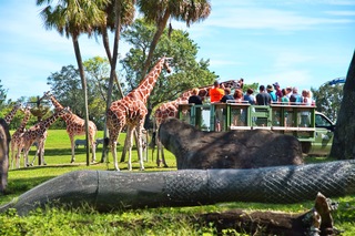 Filename=DSC_7349.jpg
Filesize=9181KiB
Dimensions=7360x4912
Date added=Sep 27, 2019 DSC_7349.jpg